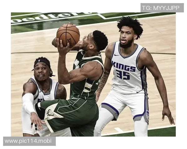 野猫官方：亨斯霍尔和温德勒缺席对阵国王